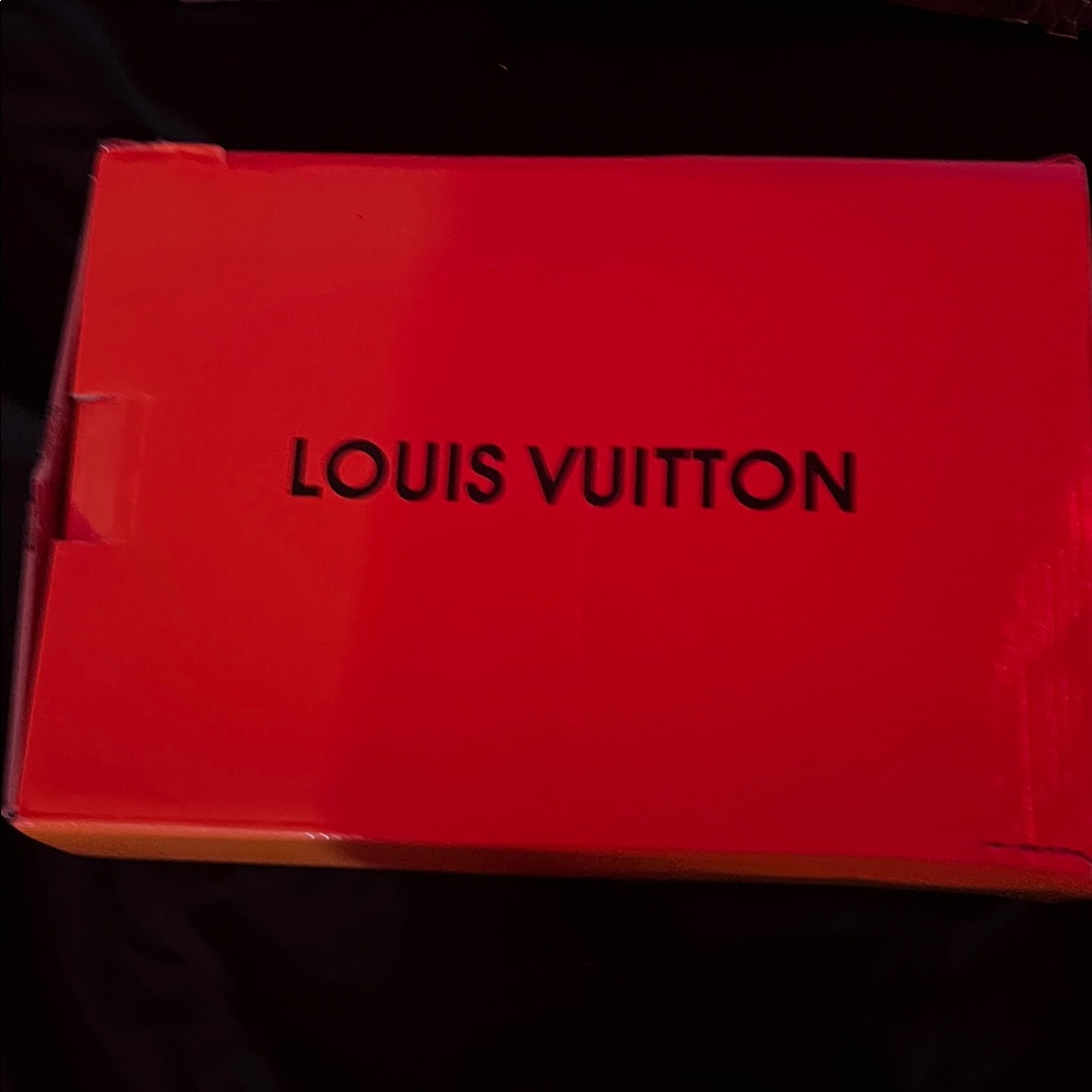 Louis Vuitton sneakers